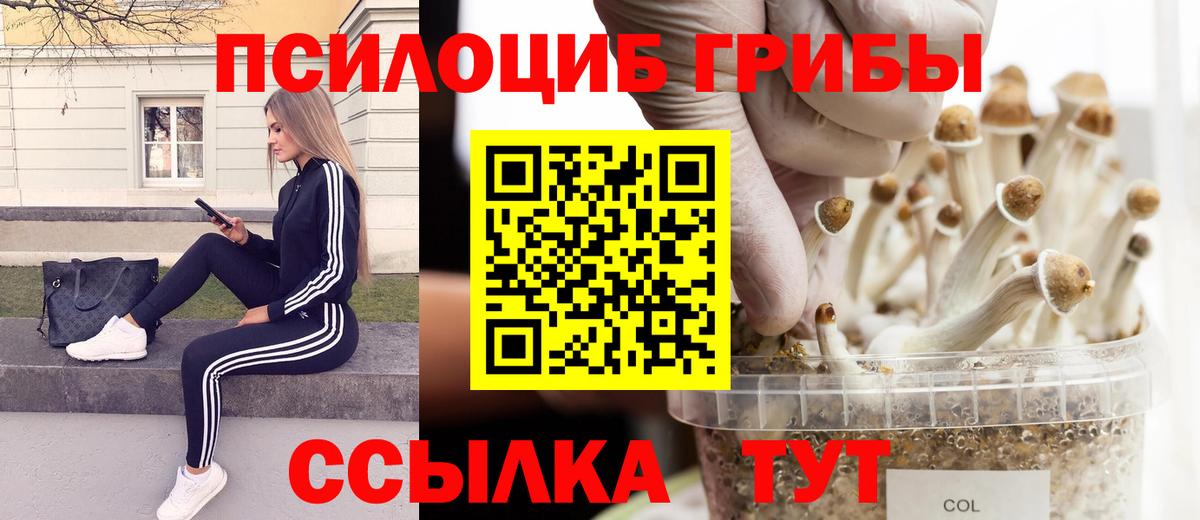 Галлюциногенные грибы MAGIC MUSHROOMS Пятигорск
